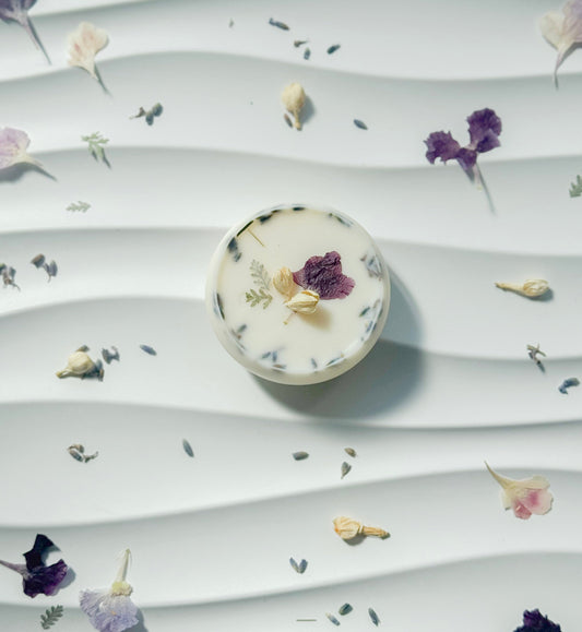 月明かり / Moonlight