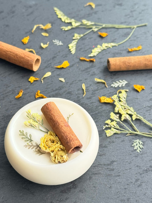 木漏れ日 / Komorebi