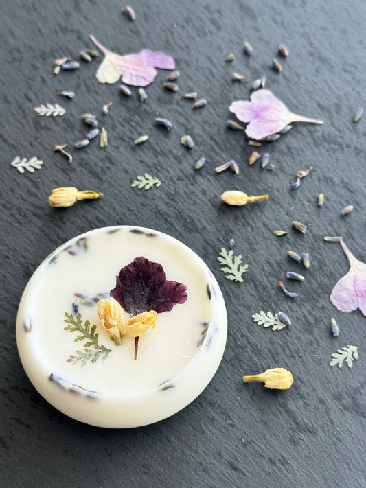 月明かり / Moonlight